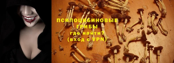 mdpv Богородицк