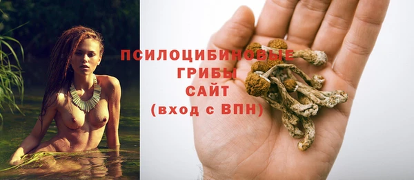 не бодяженный Белокуриха