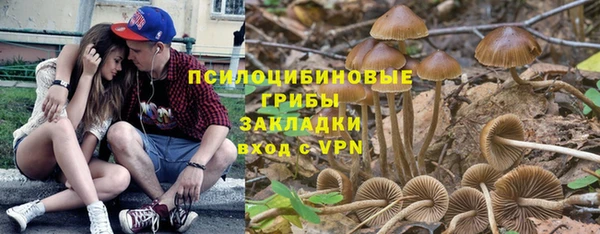Альфа ПВП Беломорск