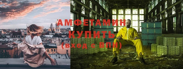 дживик Богородск