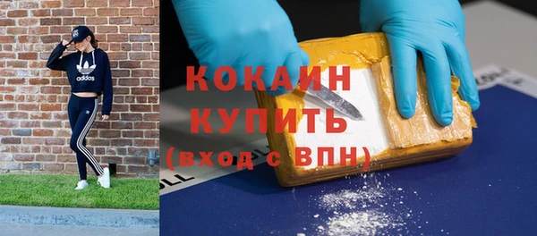 дживик Богородск